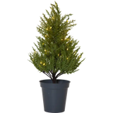 Dekorationsträd Thuja Grön 55 cm 40 L ww BO