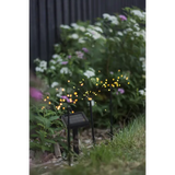 Dekorationsbelysning Solcell 'Firework Solar'