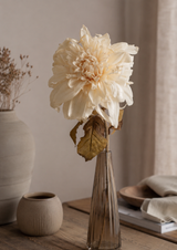 Dahlia Dried creme 74 cm