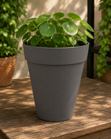 Loft Urban Round High 28cm - Anthracite