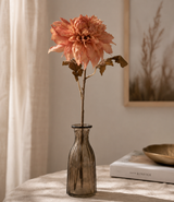 Dahlia Dried persika 74 cm