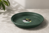 Green Basics Fat 10cm - Leaf Green