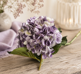 Hydrangea lila 64 cm