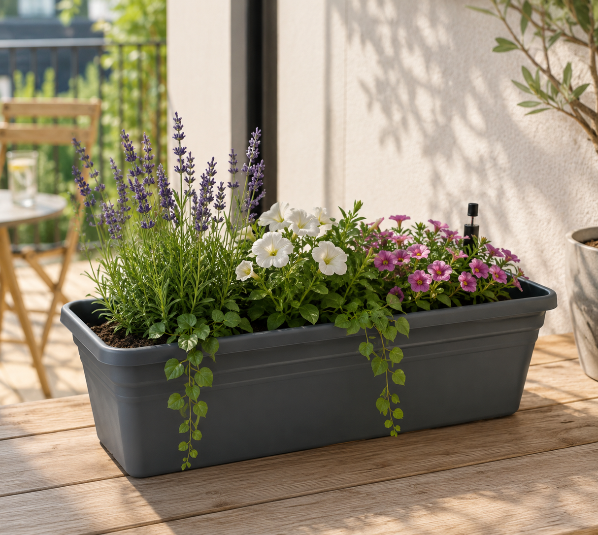 Balkonglåda 'Leon' 60cm  - Anthracite