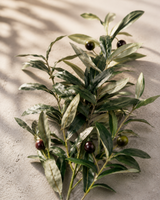 Olive Spray grön 104 cm