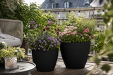 Utekruka Polystone set om 2st