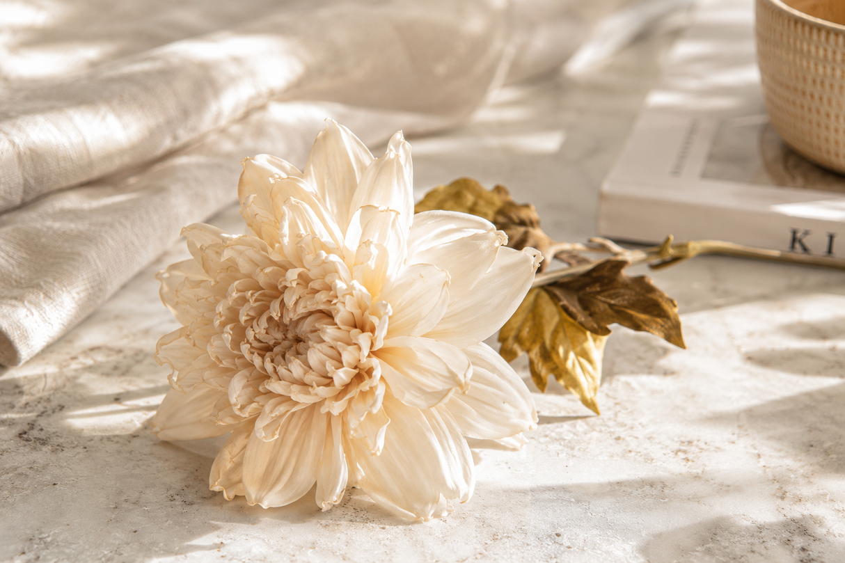 Dahlia Dried creme 74 cm