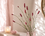Sanguisorba magenta x14 109 cm