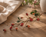 Rosehip Zaffiro Spray orange 84 cm