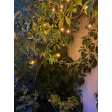 Ljusslinga LED 'Golden' 6m