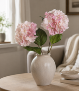 Hydrangea ljusrosa x2 66 cm