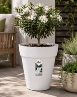 Loft Urban Round High 28cm - White