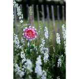 Dekorationsbelysning Solcell 'Pink Daisy'