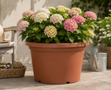 Kruka Basic Round D50cm CLAY