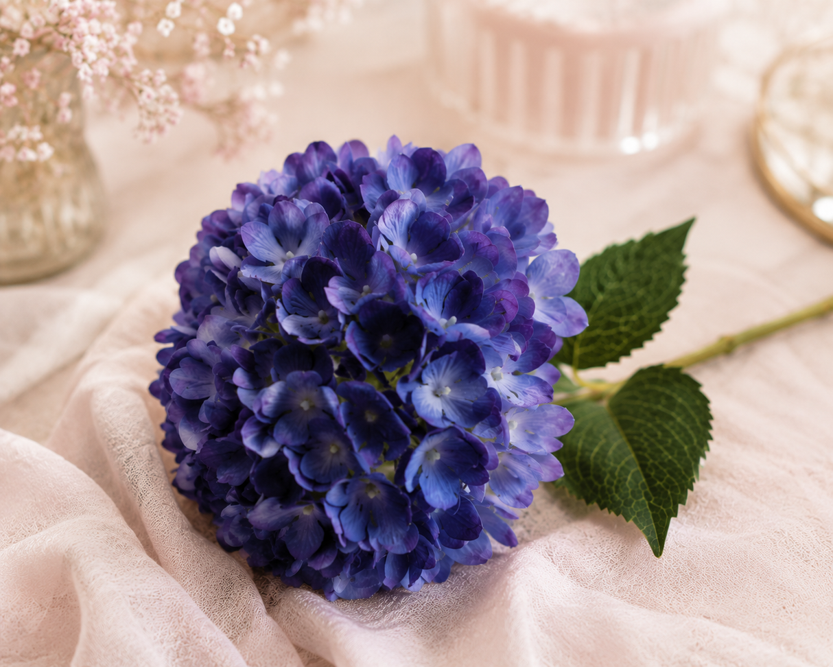 Hydrangea blå 64 cm