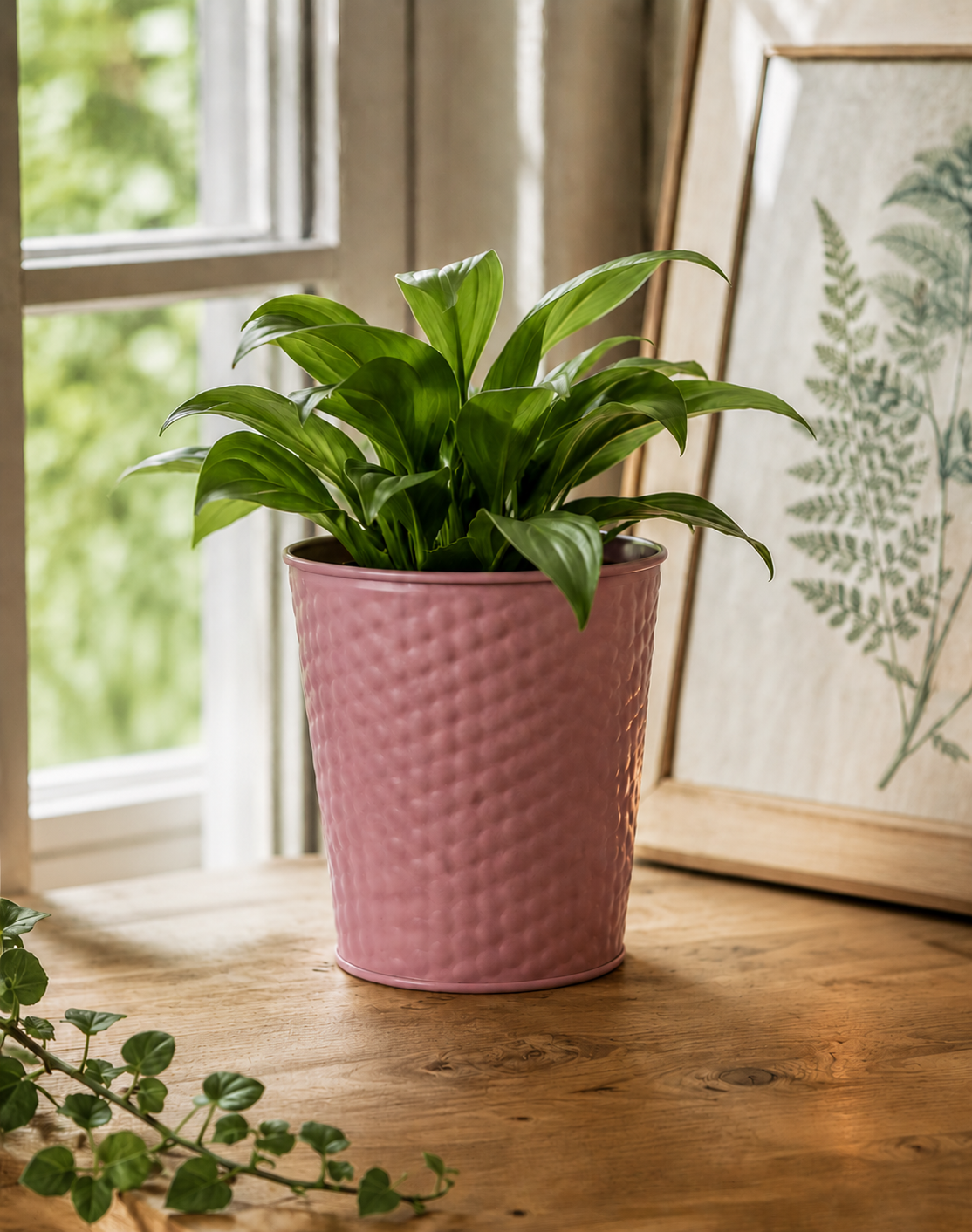Plåtkruka Rosa
