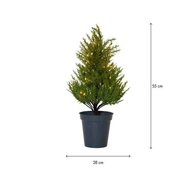 Dekorationsträd Thuja Grön 55 cm 40 L ww BO