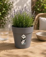 Loft Urban Round 20cm - Anthracite