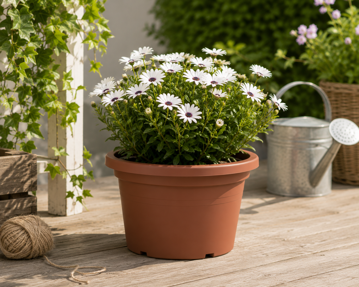 Kruka Basic Round D30cm CLAY