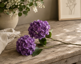 Hydrangea lila x2 66 cm