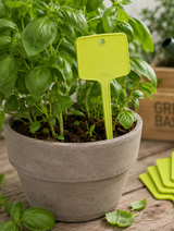Green Basics Etiketter 7x19cm 5-pack Lime