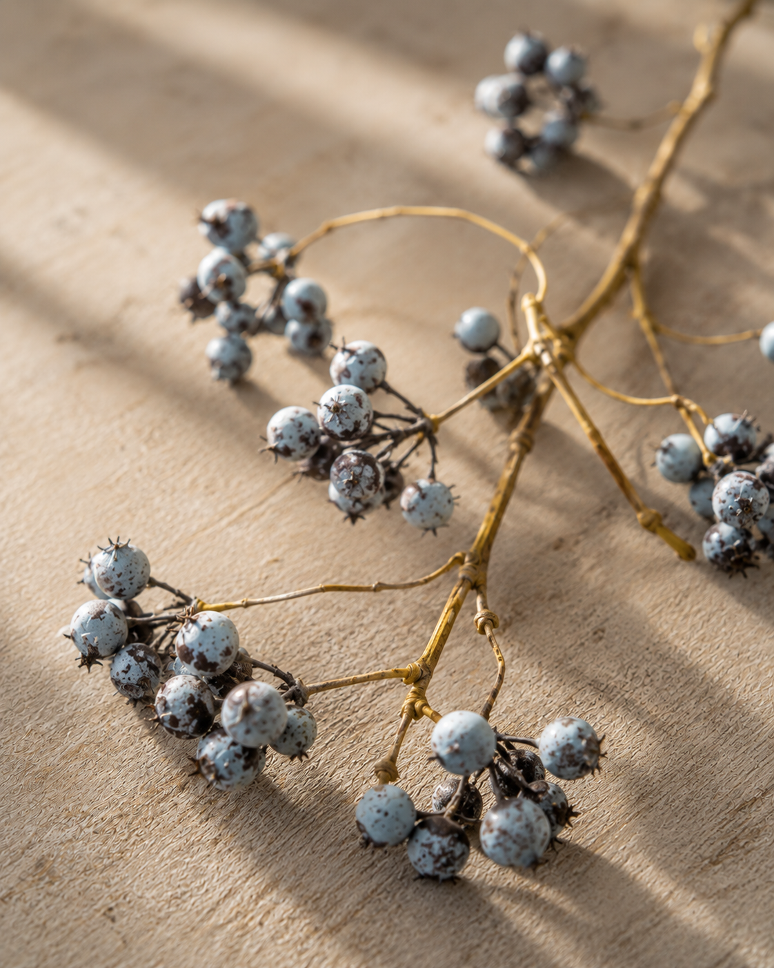 Berry Branch Curly blå 72 cm