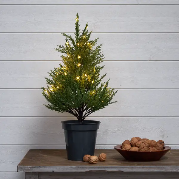 Dekorationsträd Thuja Grön 55 cm 40 L ww BO