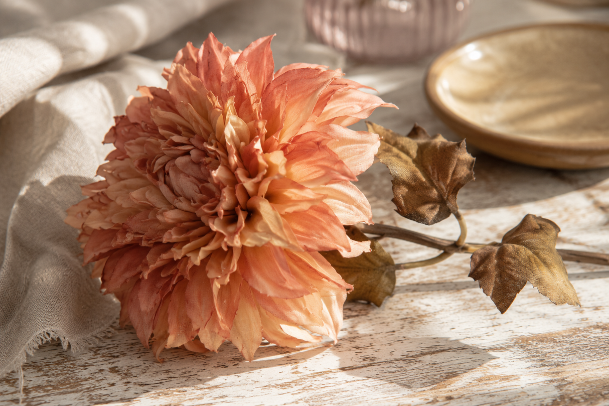 Dahlia Dried persika 74 cm
