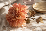 Dahlia Dried persika 74 cm