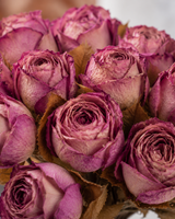 Rosa Dried Bundle lila x10 27 cm