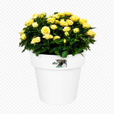 Green Basics Top Planter 30cm - Cotton White