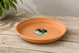 Green Basics Fat 29cm - Mild Terra