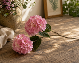 Hydrangea pink x2 66 cm