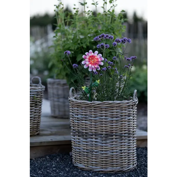 Dekorationsbelysning Solcell 'Pink Daisy'
