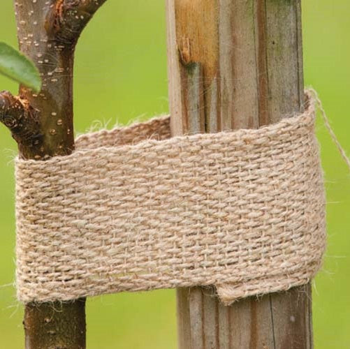 Träduppbindare Juteband 6x5m