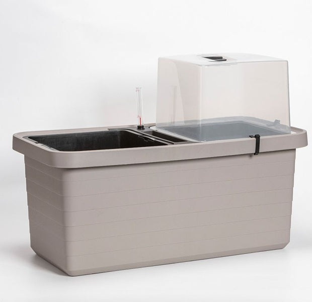 Lock till Odlingslåda 'Berberis Trio' 1st