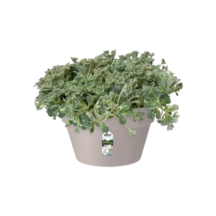 Loft Urban Bowl D35 cm Warm Grey