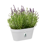 Loft Urban Green Wall DUO 28cm White