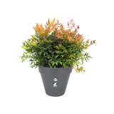 Loft Urban Round 30cm - Anthracite