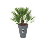 Loft Urban Round High 28cm - Anthracite