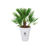 Loft Urban Round High 34cm - White