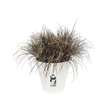 Loft Urban Round 25cm - White