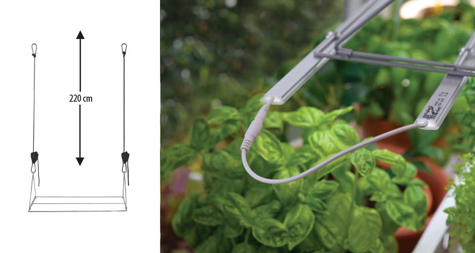 Växtbelysnings Hängare med hissmekanism