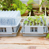 Miniväxthus Pluggbox