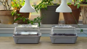 Växtbelysning, LED lampa 18W