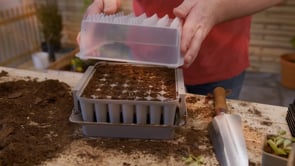 Miniväxthus Pluggbox