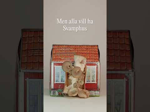 Svamphus Grå ostronskivling