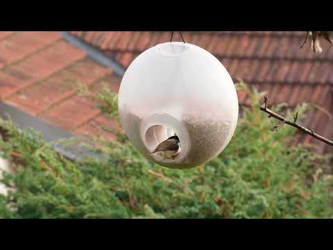 Foderautomat 'Berry' Green