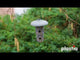Foderautomat 'Robin' Green