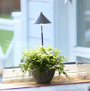 Sunlite växtlampa Grafitgrå -7W